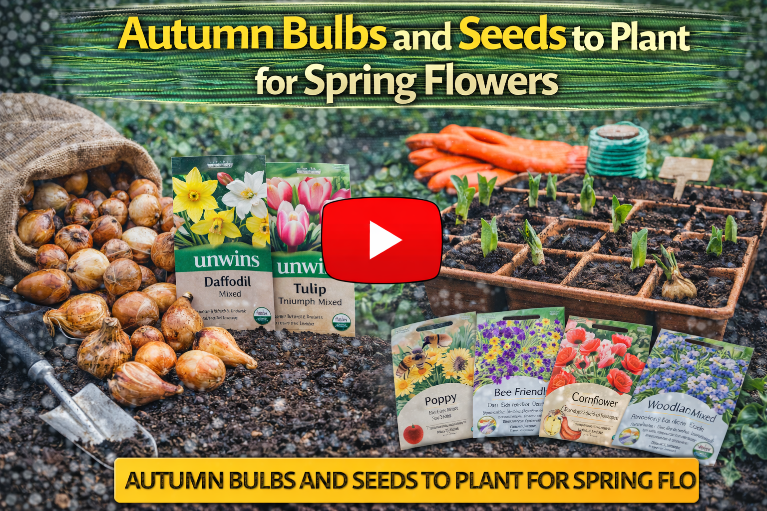 Video thumbnail for Autumn Bulbs and Seeds to Plant for Spring Flowers