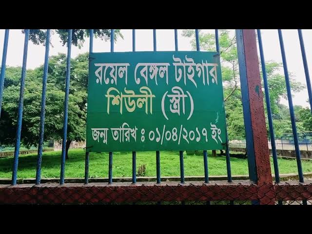 Video thumbnail for চিড়িয়াখানায়  বাঘ জন্য মানুষের ভিড়