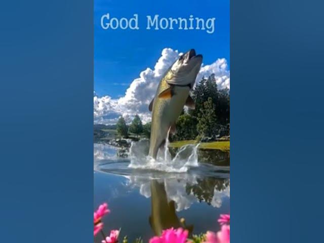 Video thumbnail for #Viral