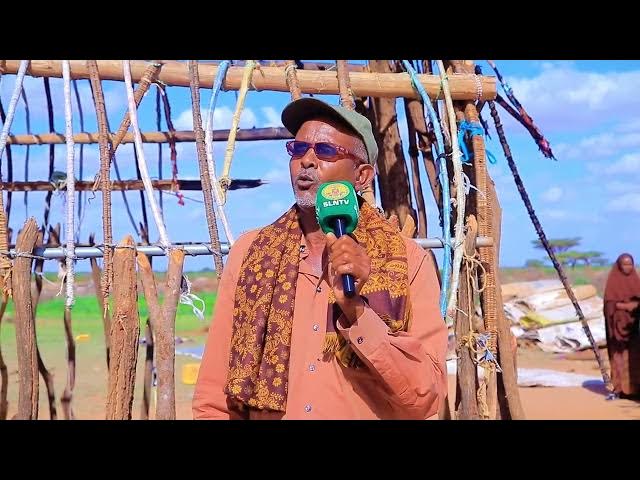 Video thumbnail for WARBIXIN QOYS DAGAN TUULADA GUMAR EE BALIGUBADLE OO AFAR JEER HOYGII KA GUBTEY