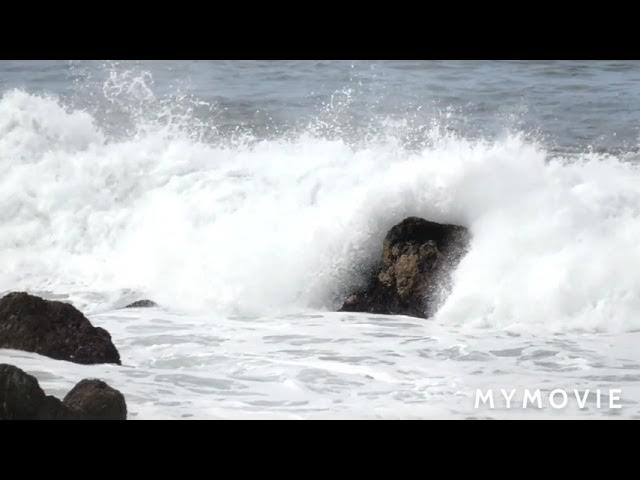 Video thumbnail for 29 August 2021