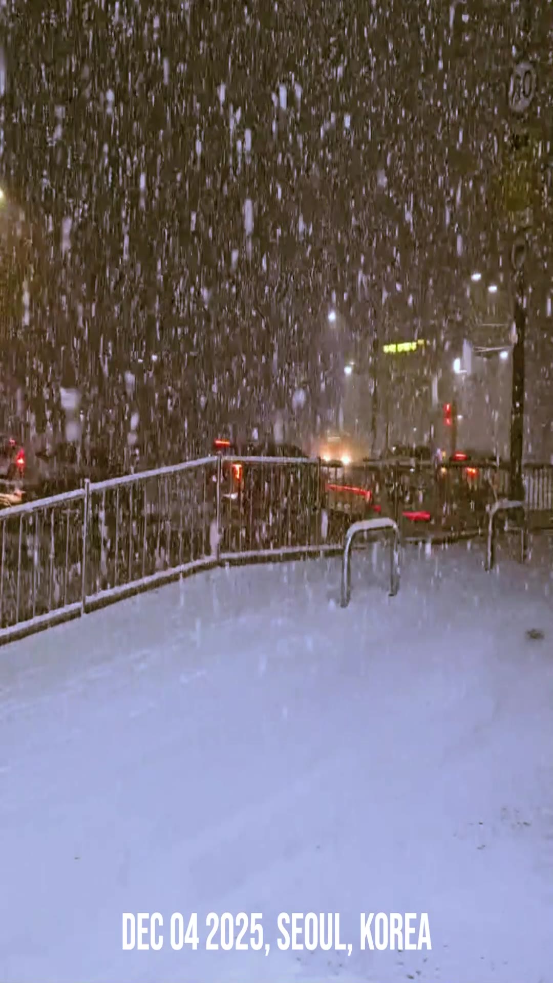 Video thumbnail for ✨❄️ The First Snow Has Finally Arrived in Seoul Today! 😍✨