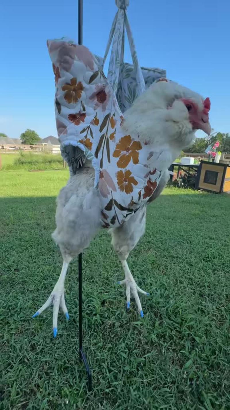 Video thumbnail for Matching Blue Manicures with a Chicken in a Floral Sling