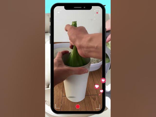 Video thumbnail for We Tested the Best Cat Litter Shovel Scoop – Here’s What We Found!