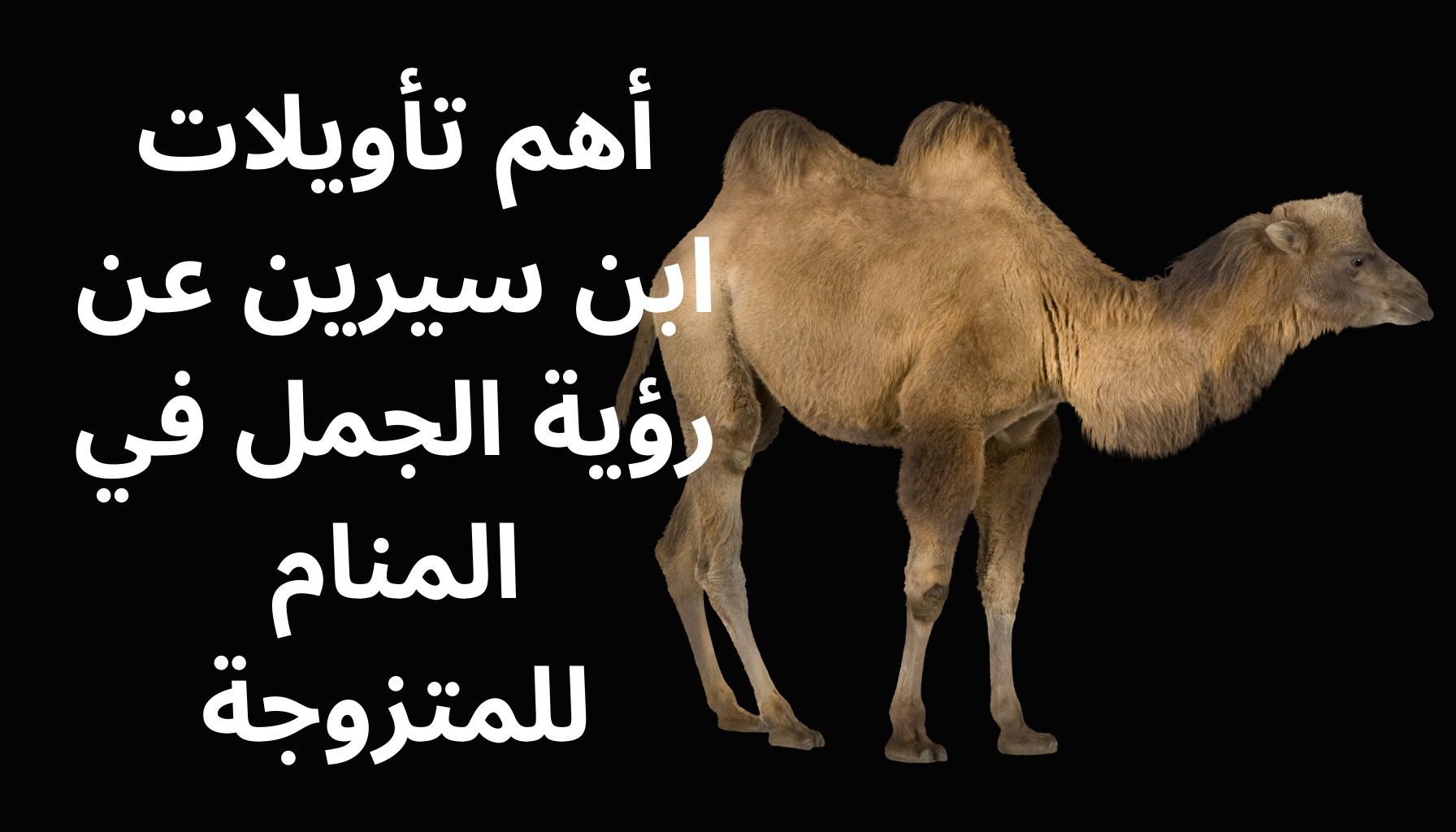 'Video thumbnail for أهم تأويلات ابن سيرين عن رؤية الجمل في المنام للمتزوجة'
