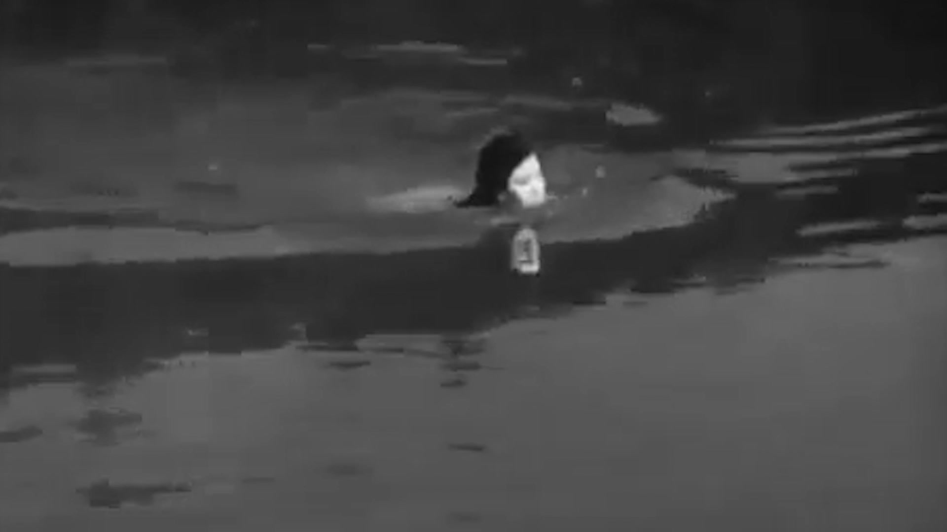 Video thumbnail for The Sad And Shocking Lives Of Classic Pin-Ups