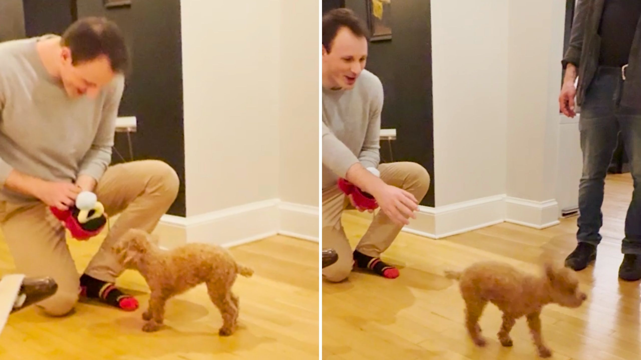 Video thumbnail for Man's Proposal To Fianceé's Dog Doesn't Go To Plan