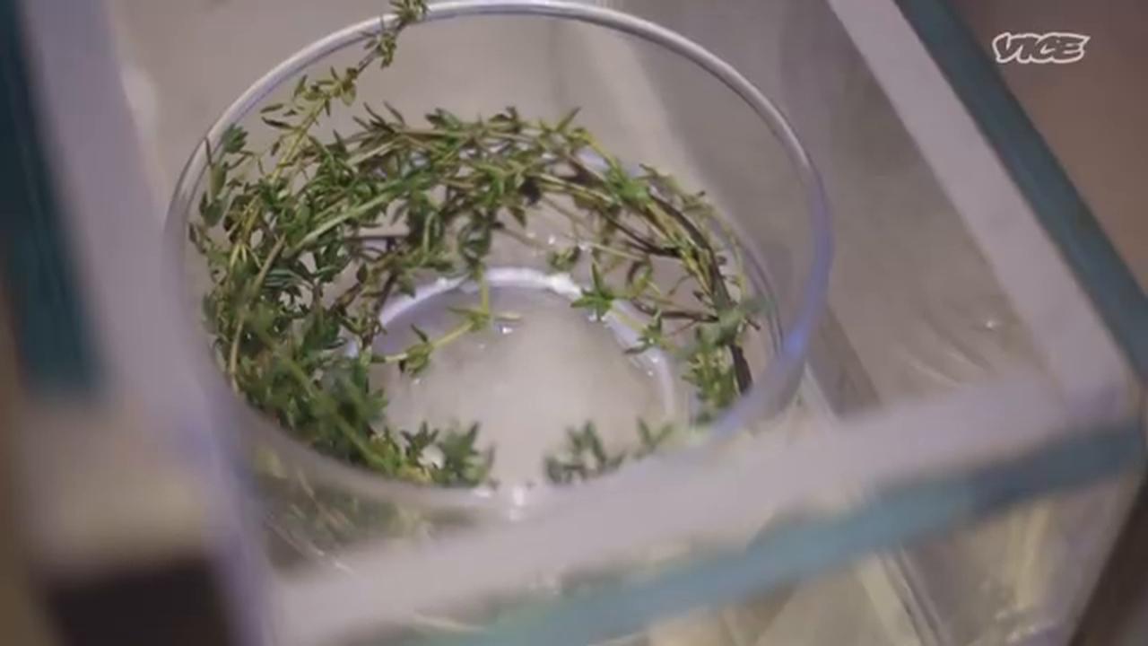 Video thumbnail for Pushing the Boundaries of Regional Indian Cuisine