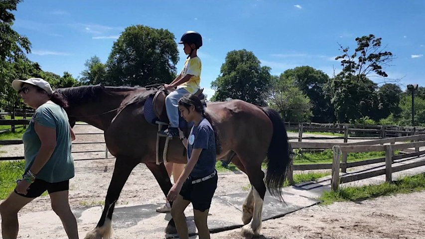 Video thumbnail for SIBSPlace campers connect with horses and find relief from family health struggles