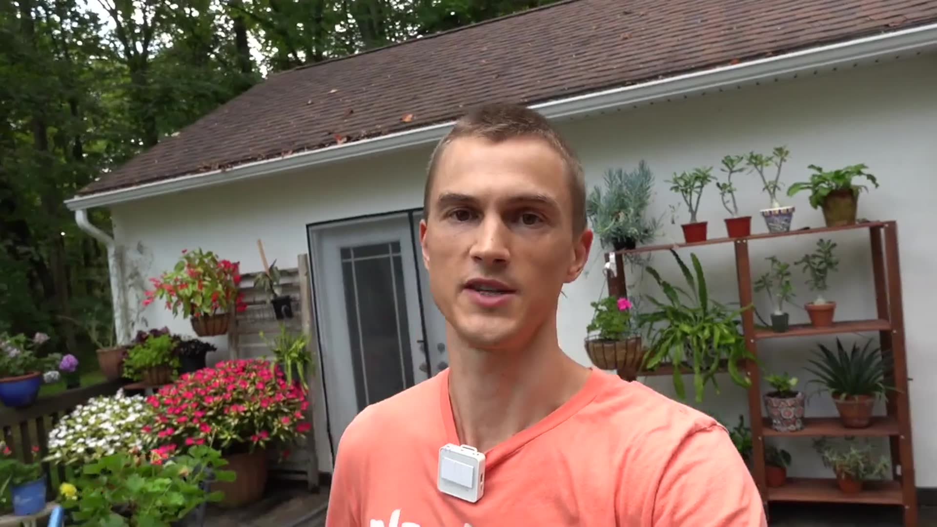 Video thumbnail for To Deadhead or Not? during Fall Cleanup