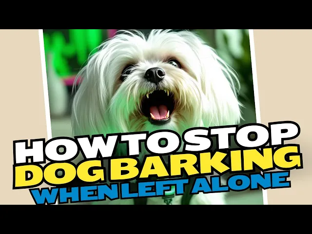Video thumbnail for How To Stop Dog Barking When Left Alone