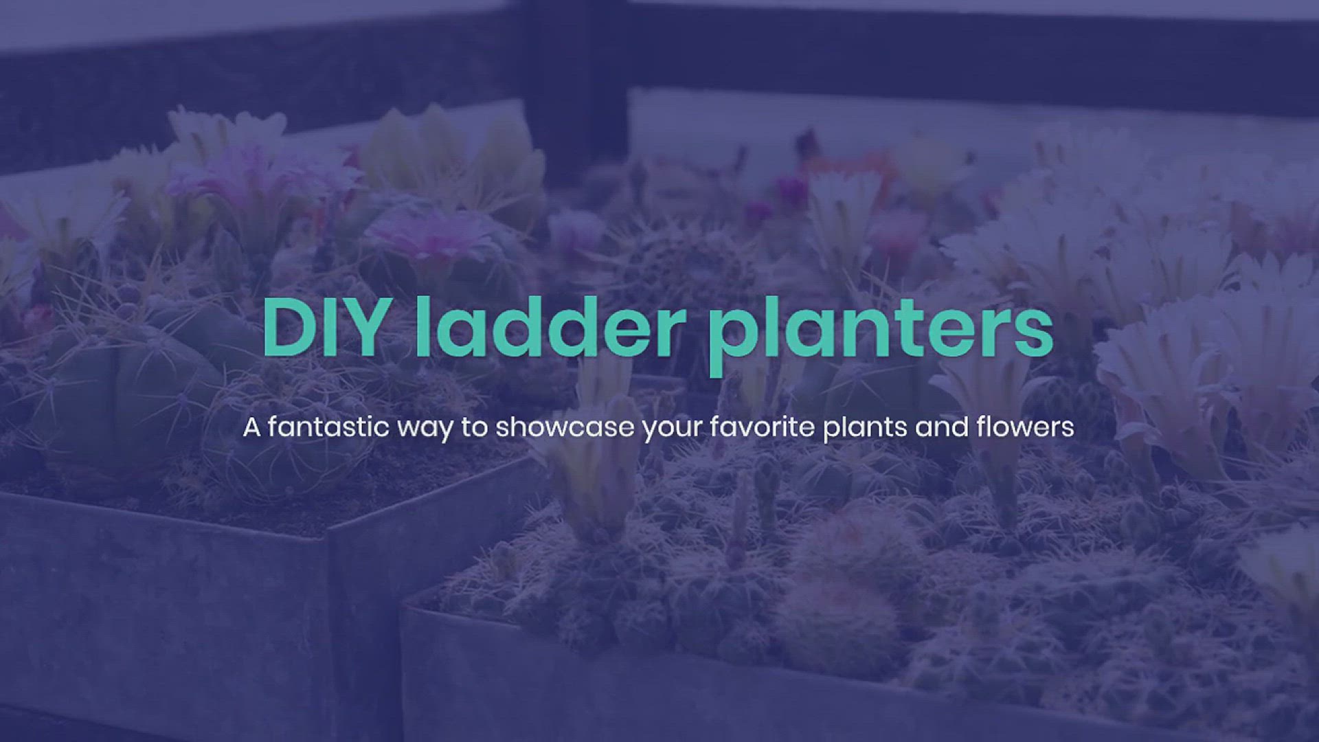 'Video thumbnail for Creative DIY Ladder Planter Ideas'