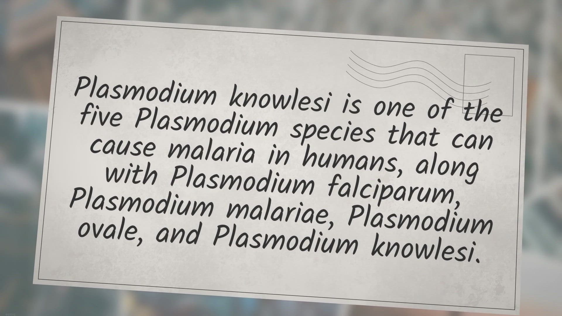 Video thumbnail for Plasmodium vivax – Life Cycle in Man and in Mosquito