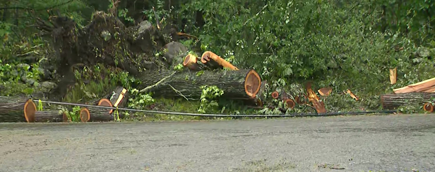 Video thumbnail for Devastating storm damage prompts state leaders to assess destruction in northwest Connecticut