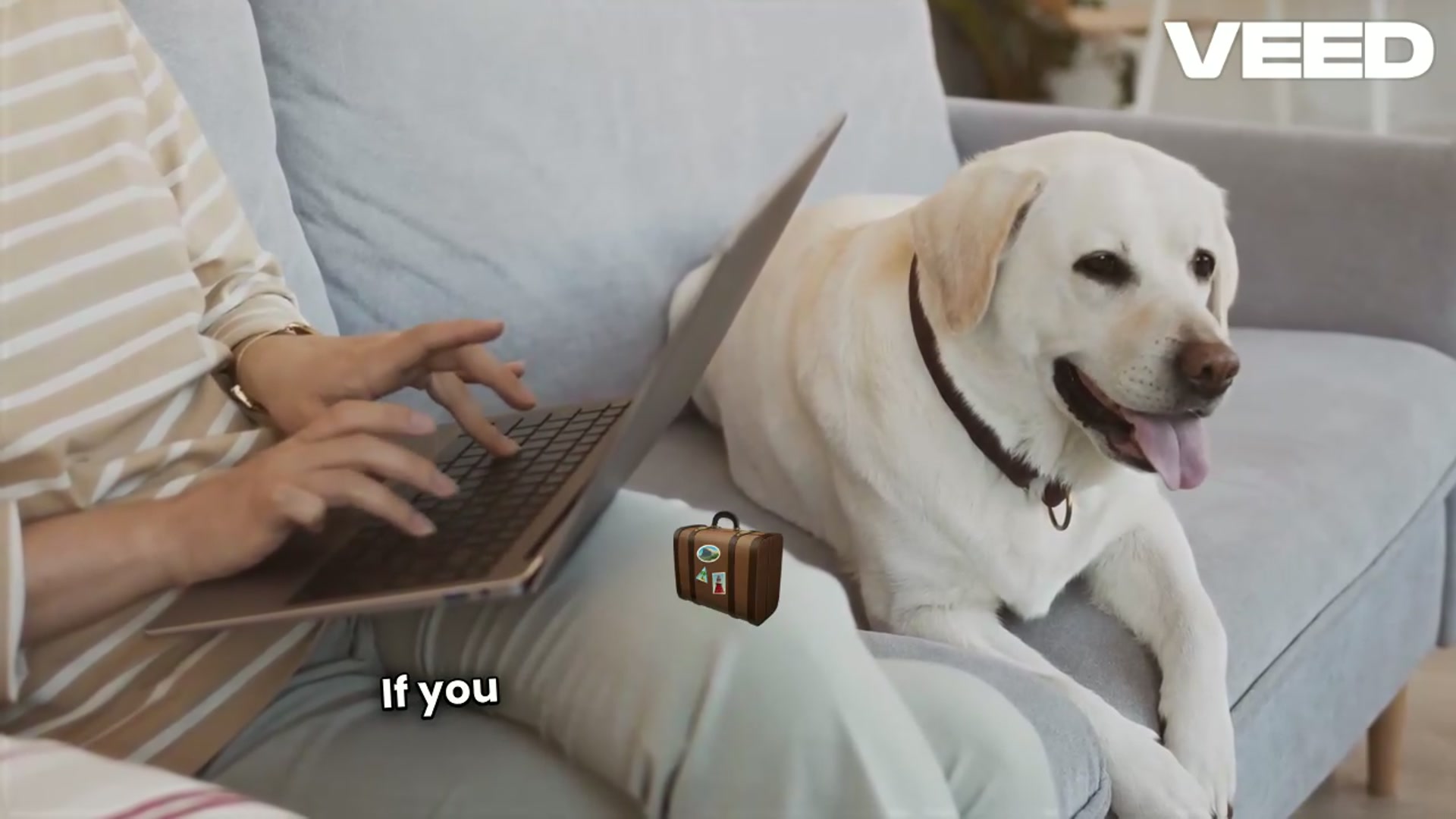 'Video thumbnail for Are Petsafe Wireless Fences Worth It'