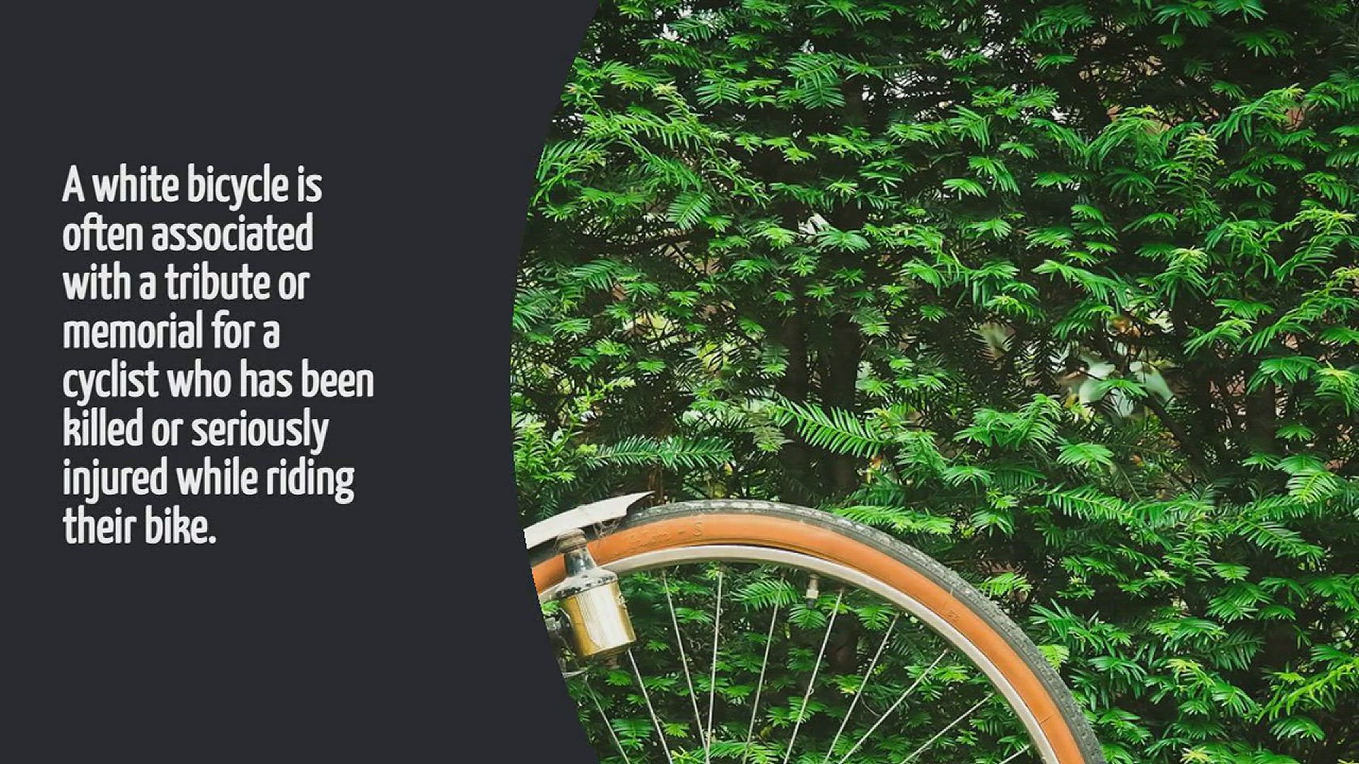 Video thumbnail for What Does A White Bicycle Mean