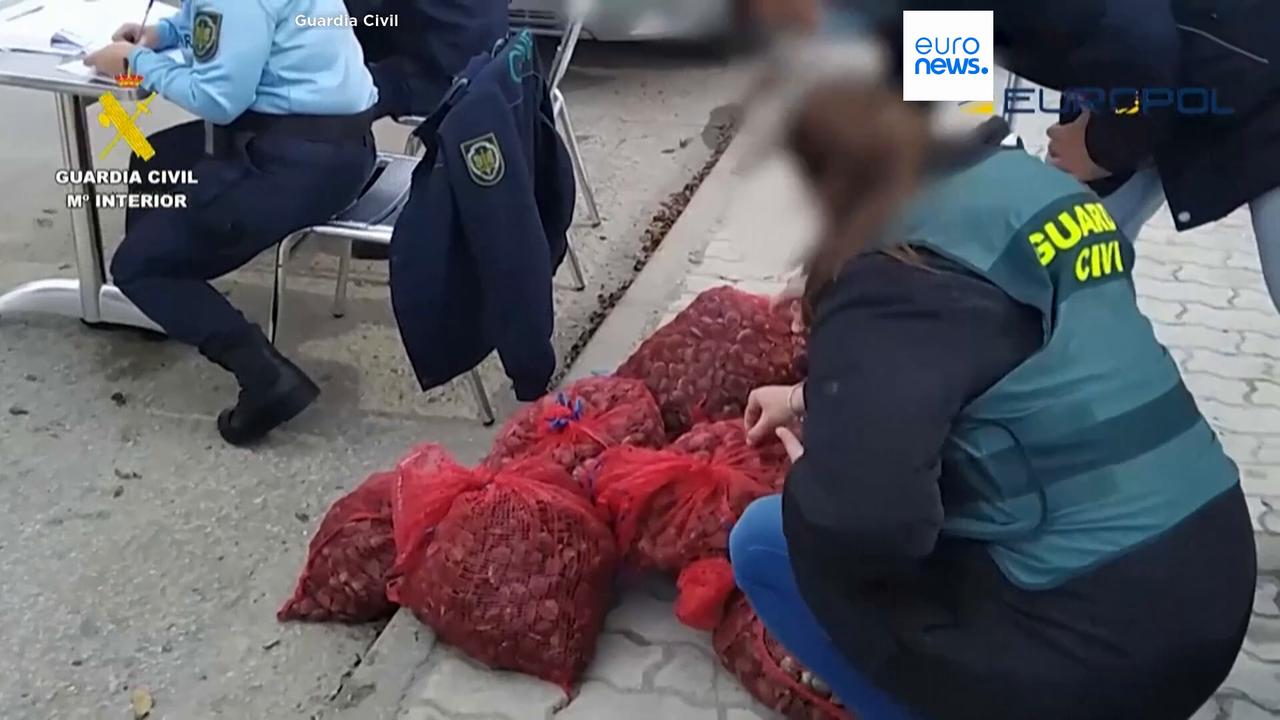 Video thumbnail for New Europol report delves into EU's most threatening criminal networks