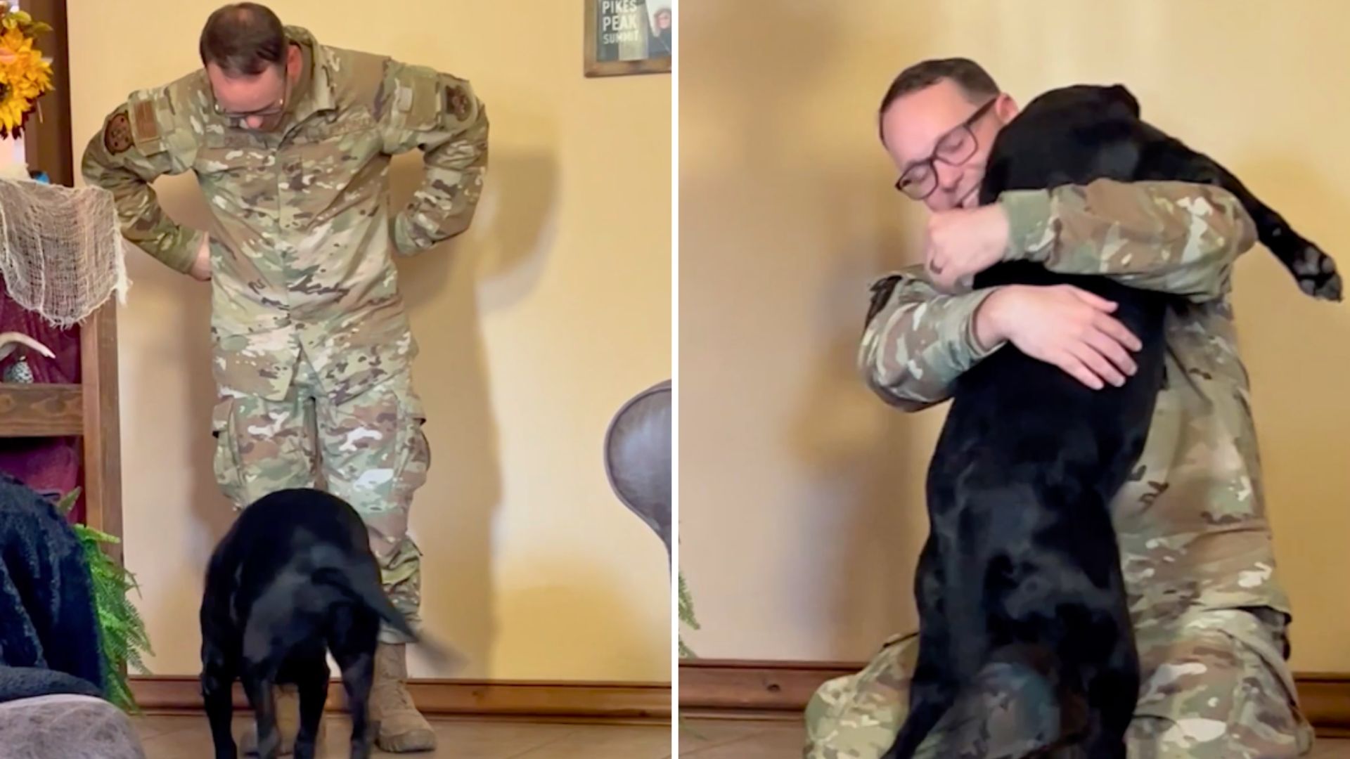 Video thumbnail for Dog That Lost Sight While Military Dad Was On Deployment Lights Up When He Returns Home