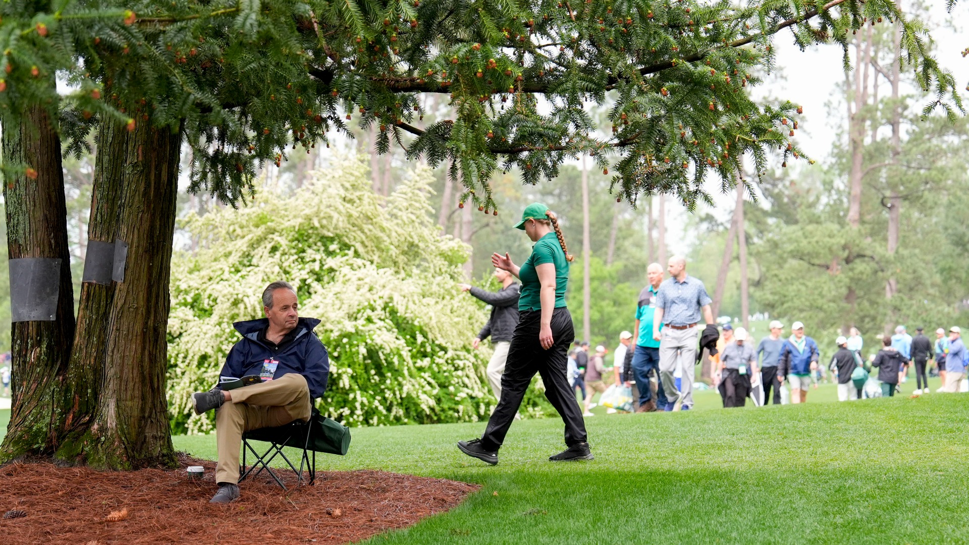 Video thumbnail for Ranking the Top Cut-Down Trees From Iconic Courses