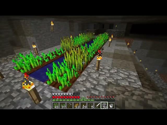 Video thumbnail for Minecraft v.1.2.5 Part 363 #minecraft #gaming #games #gameplay