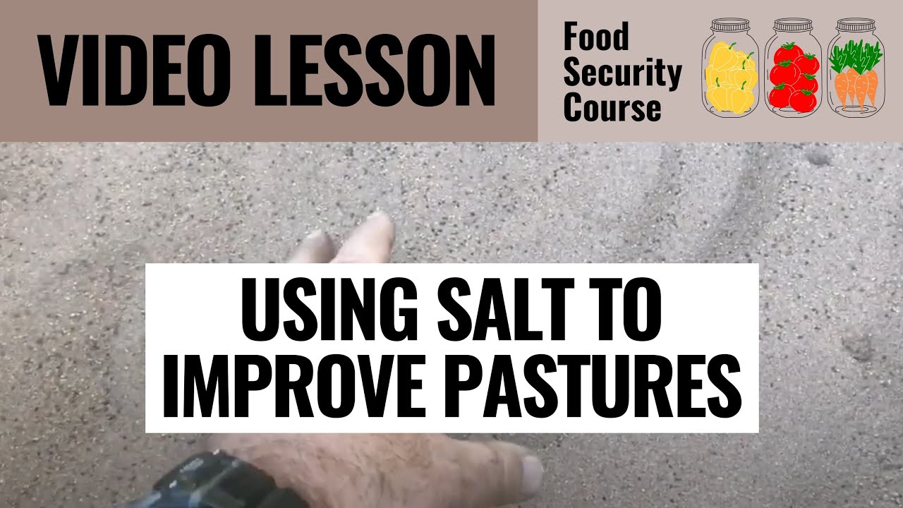 Video thumbnail for VIDEO   USING SALT TO IMPROVE PASTURES