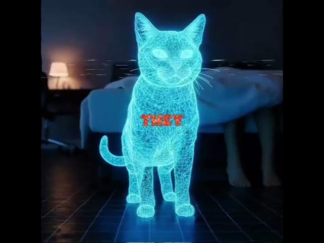 Video thumbnail for Ever wonder why your cat chooses your feet over your pillow every single night?