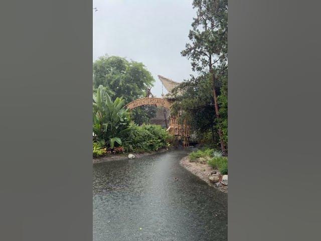 Video thumbnail for Adventure(land) in the rain at Disneyland!