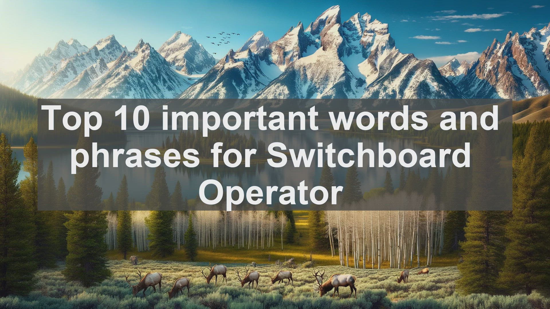 'Video thumbnail for Top 10 important words and phrases for Switchboard Operator'