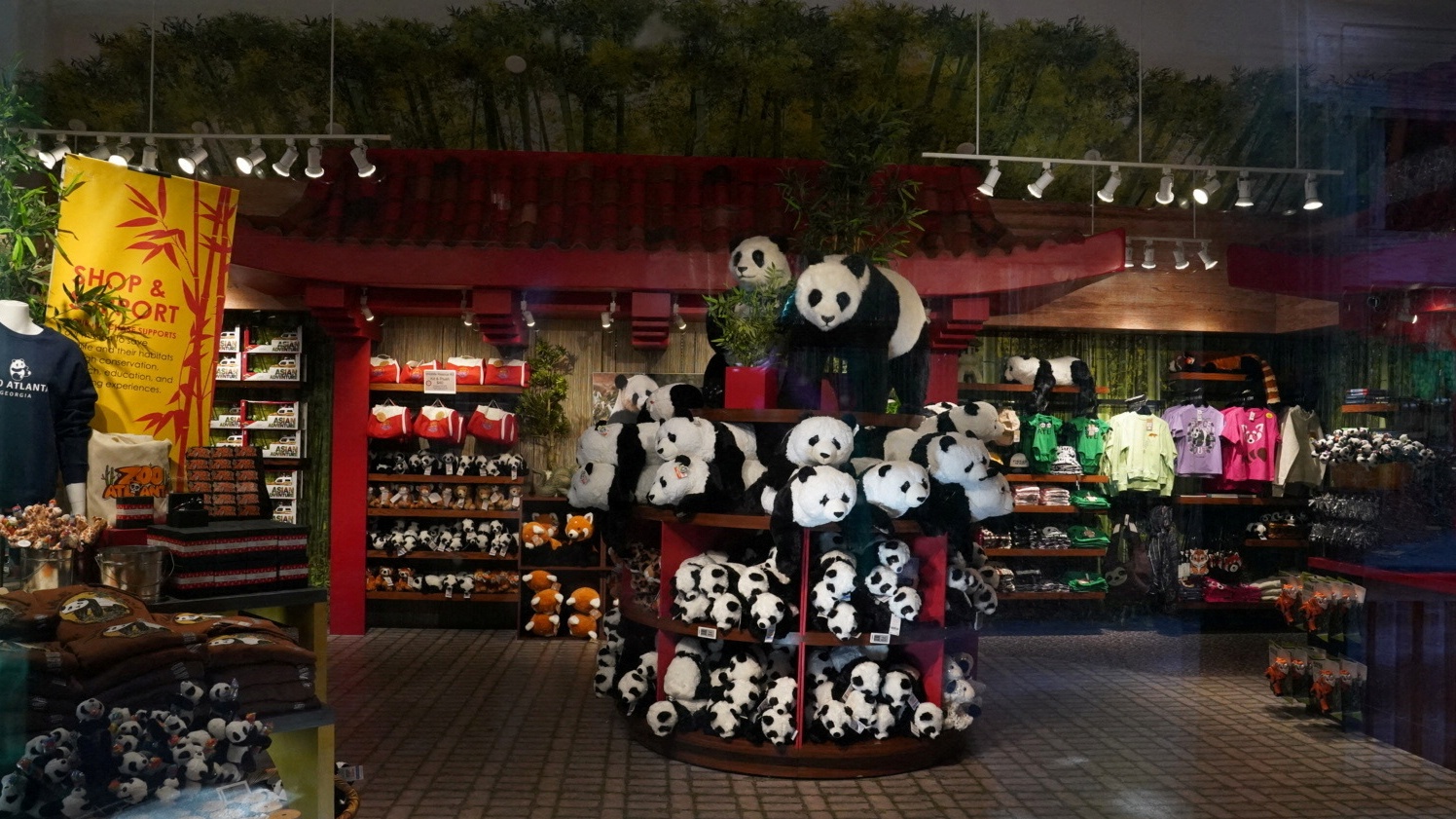 Video thumbnail for Giant pandas arrive at Zoo Atlanta, renewing conservation partnership
