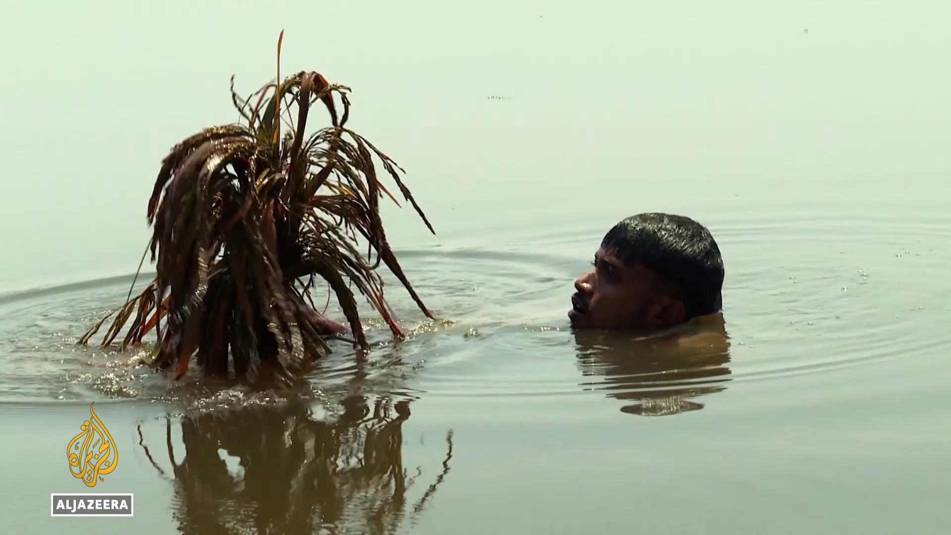 Video thumbnail for Heavy rains damage rice crop in Bangladesh: crisis as farmers lose their harvest to flooding