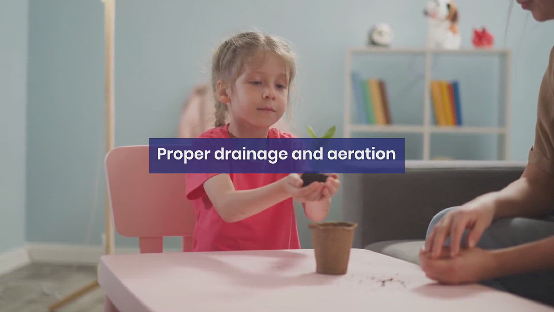 'Video thumbnail for The Benefits of Using Eggshells to Sprout Seeds'