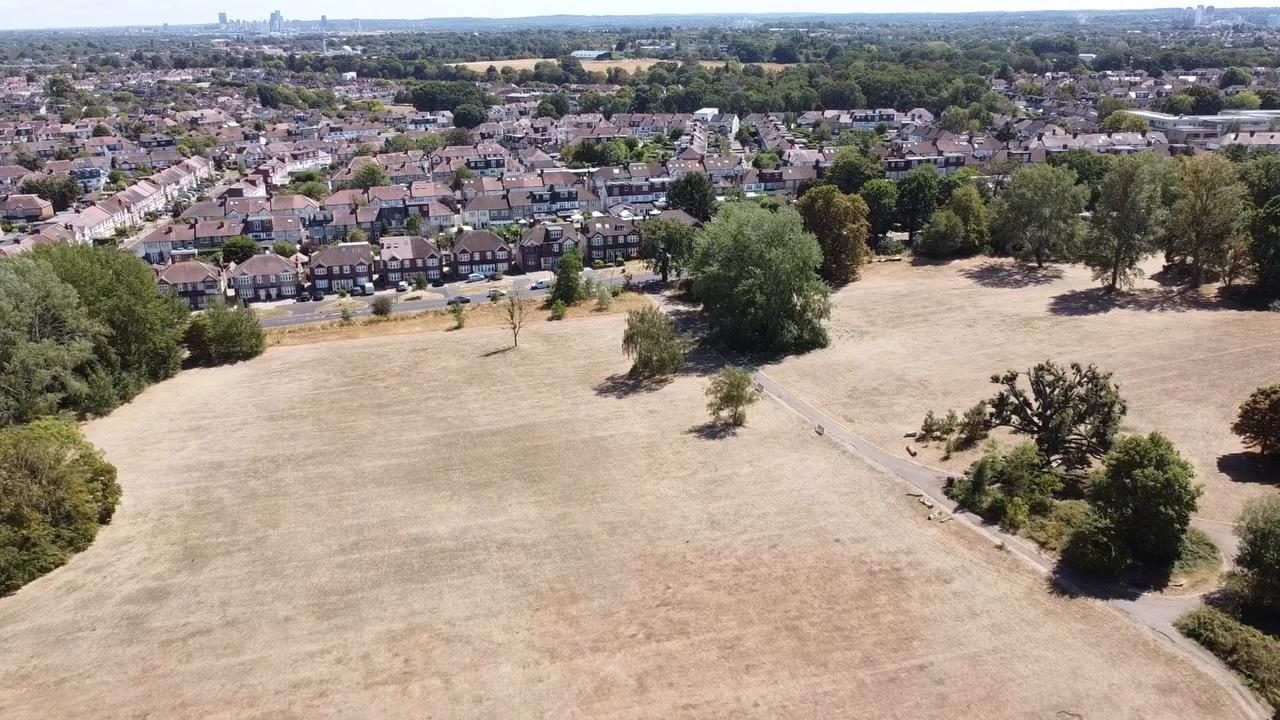 Video thumbnail for UK: Heatwave causes parks and green spaces to dry out in London.