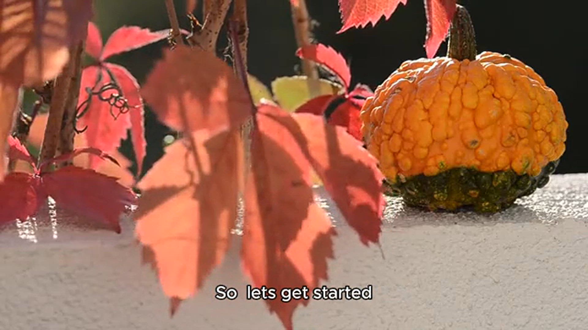 Video thumbnail for Pumpkin cheesecake recipe