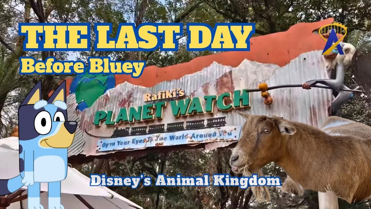 Video thumbnail for Conservation Station, Last Day of Operation before Bluey at Disney's Animal Kingdom - Highlights