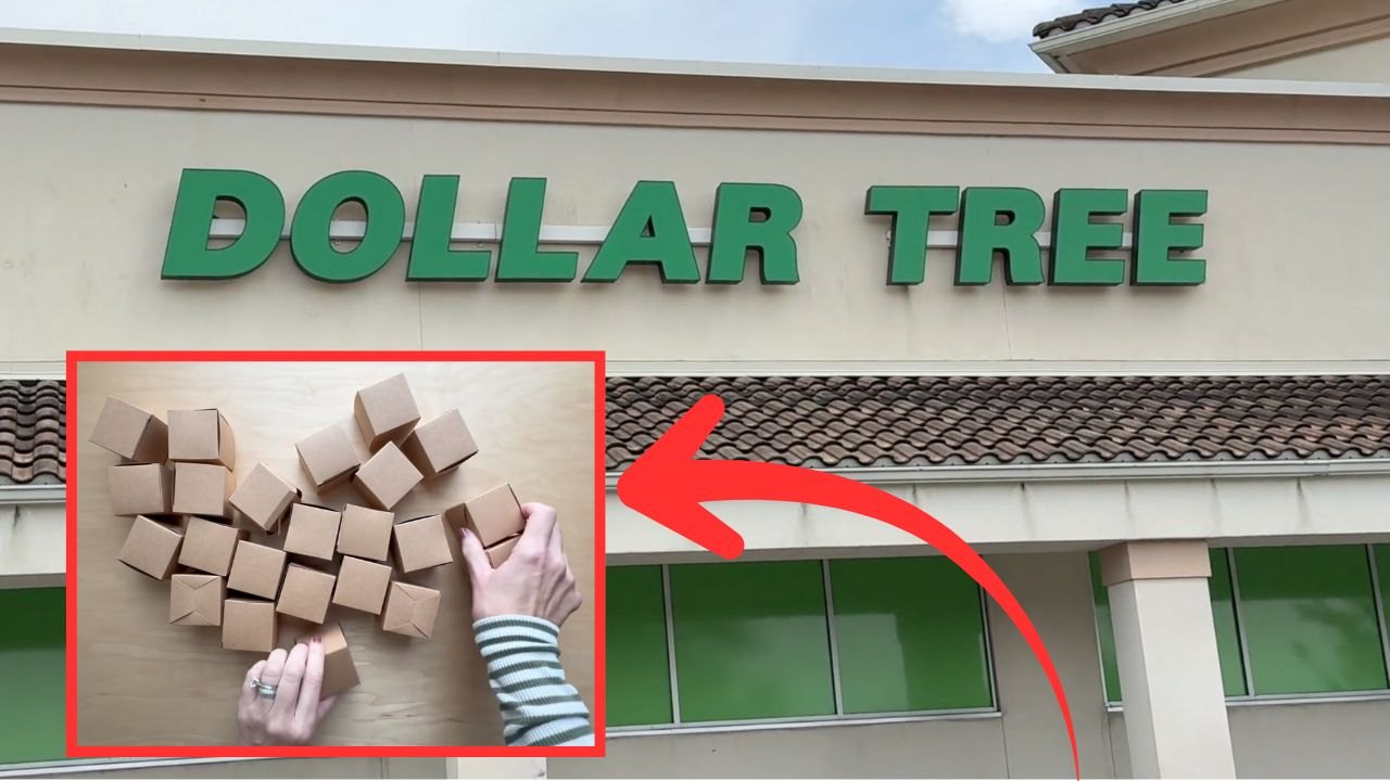Video thumbnail for Buy mini cardboard boxes from the Dollar Store for this GENIUS holiday idea!