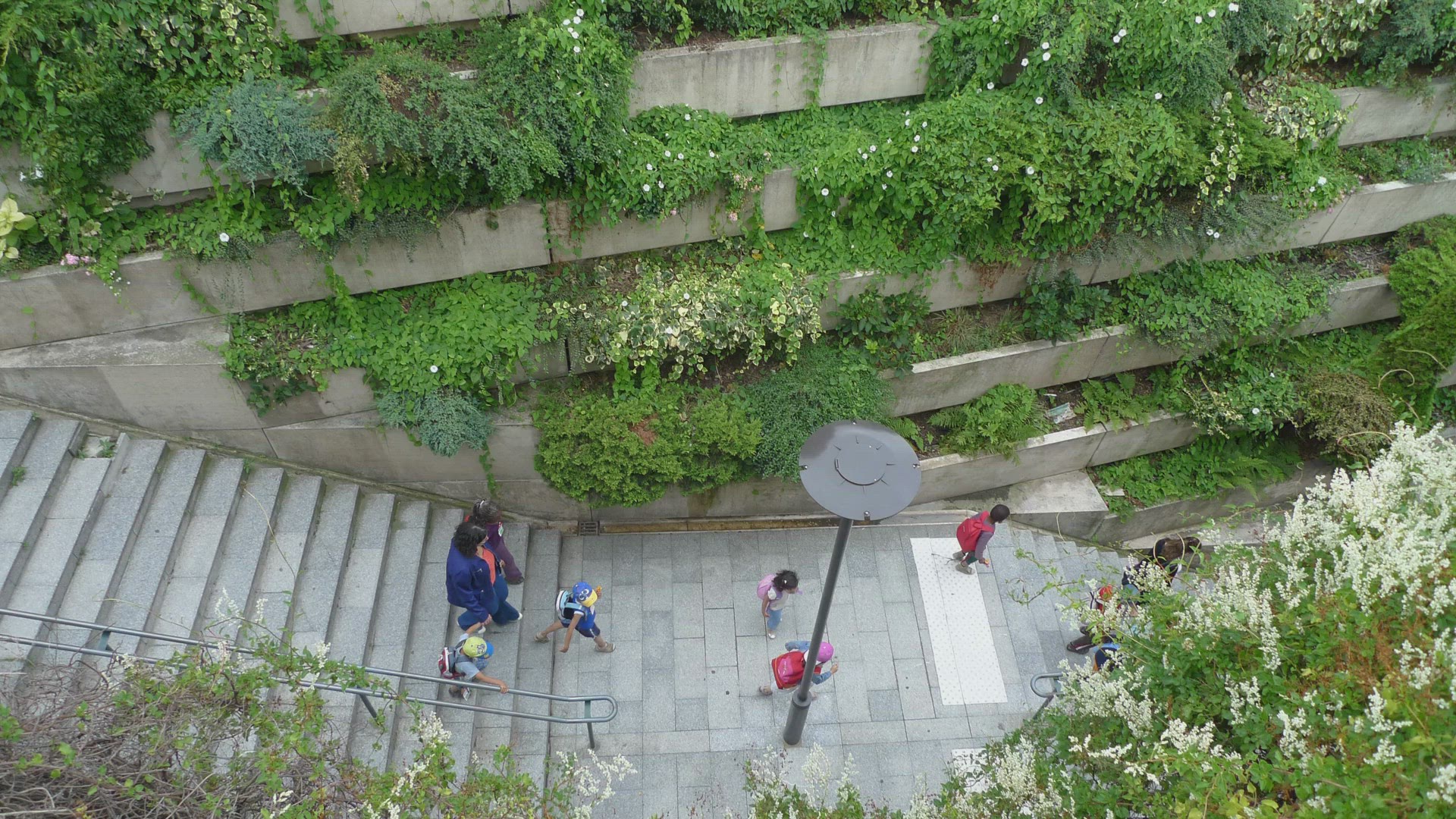 'Video thumbnail for 5 Steps to Staircase Gardening: A Complete Guide'