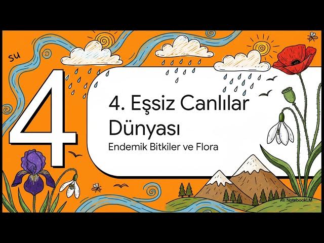 Video thumbnail for Türkiye Fiziki Coğrafyası 2024-2025 Final Soruları