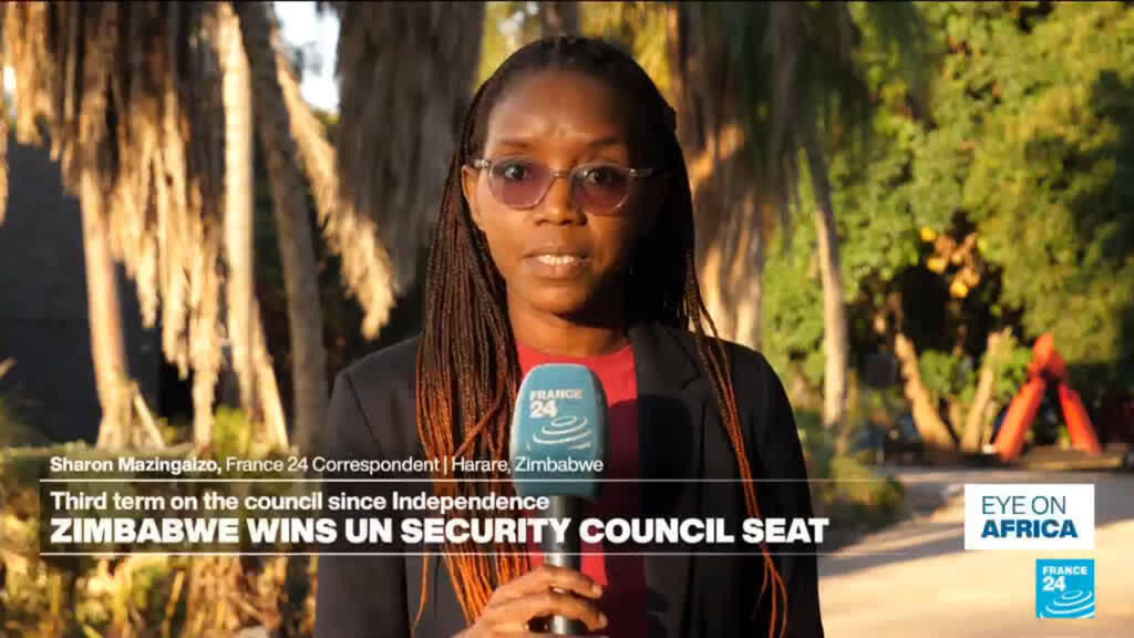 Video thumbnail for Zimbabwe elected to UN Security Council