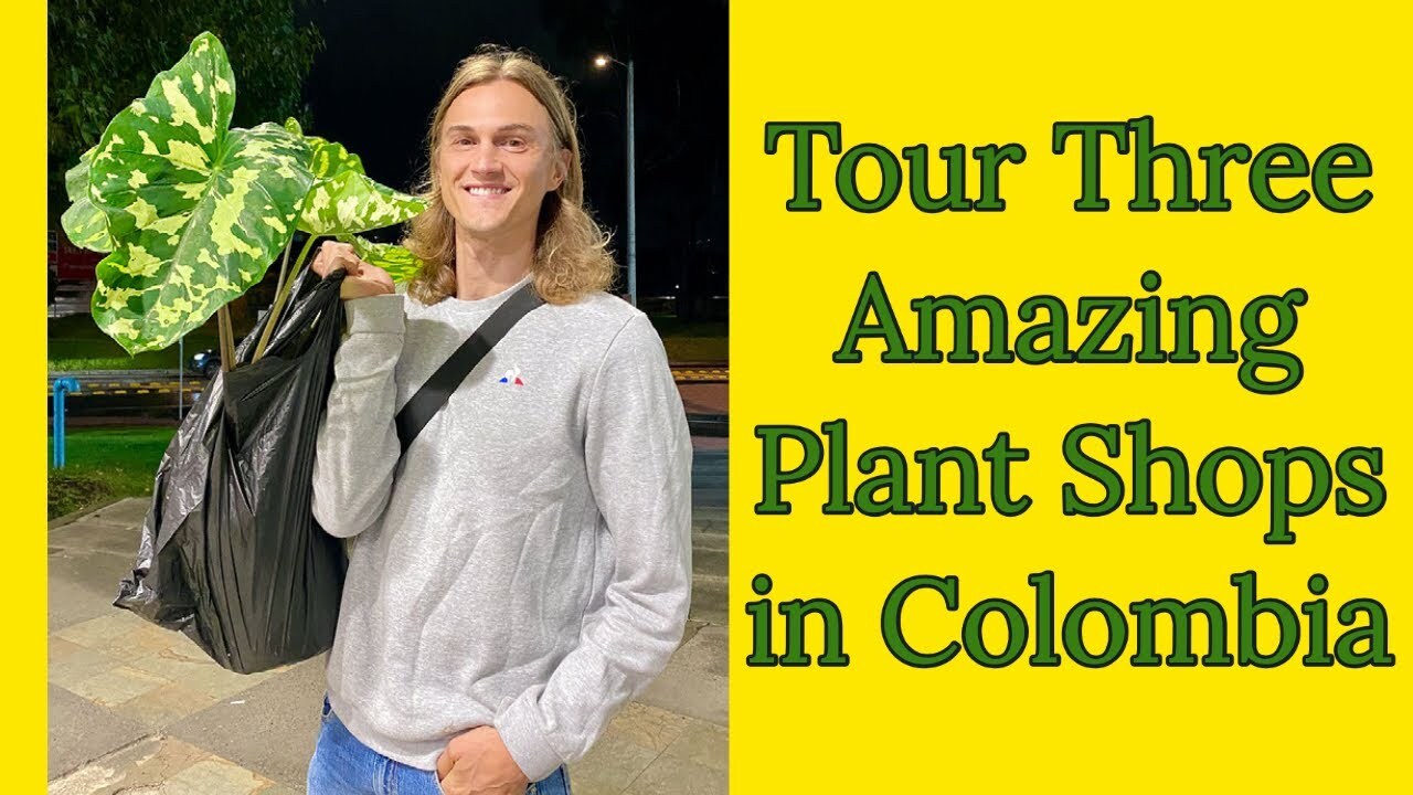 Video thumbnail for Plant Nursery Tour in Colombia! Houseplants, Garden Plants & More