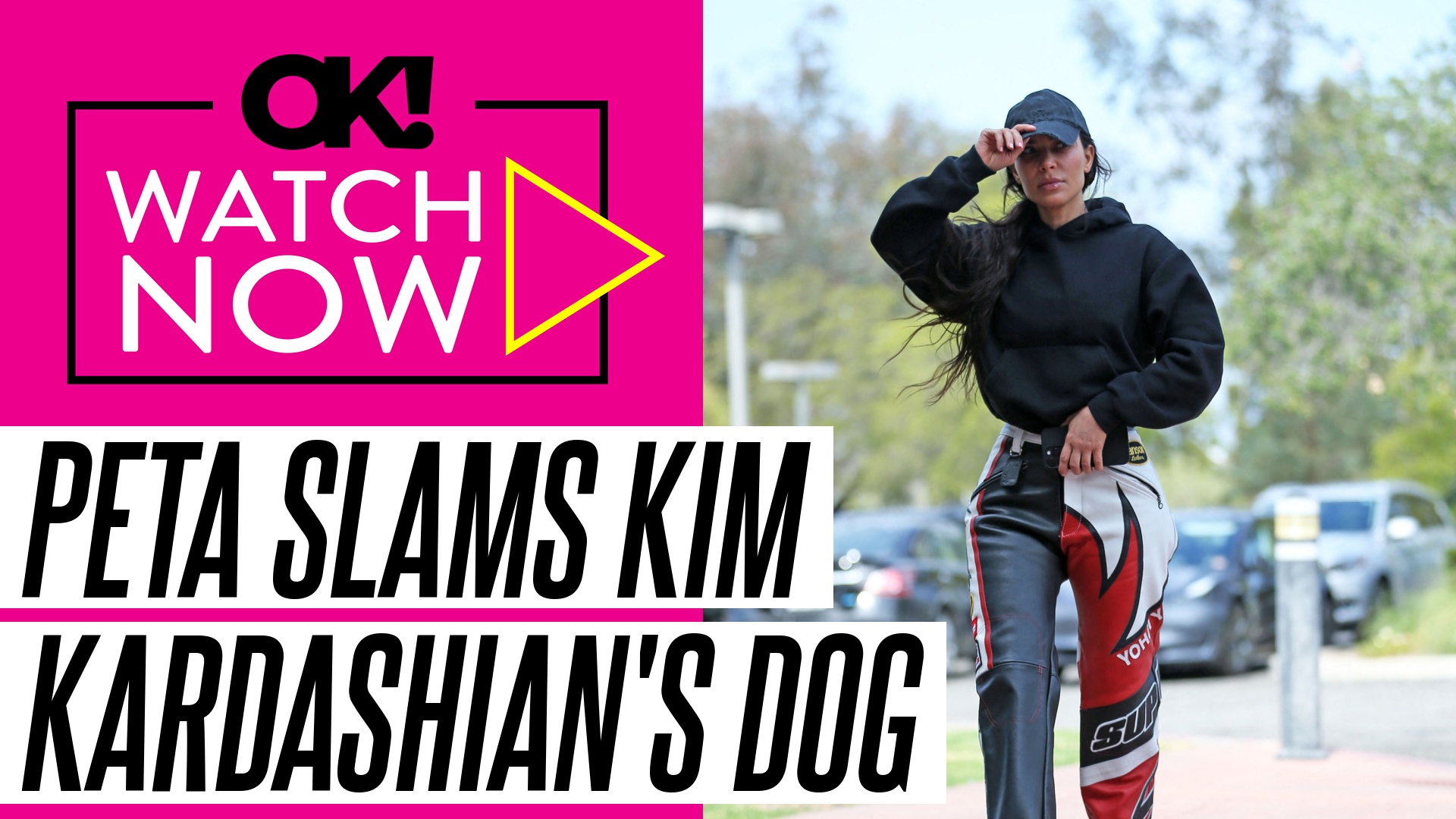 Video thumbnail for Kim Kardashian Called Out by PETA for Gifting Her Kids 4 Dogs for Christmas: 'Inexcusably Callous'