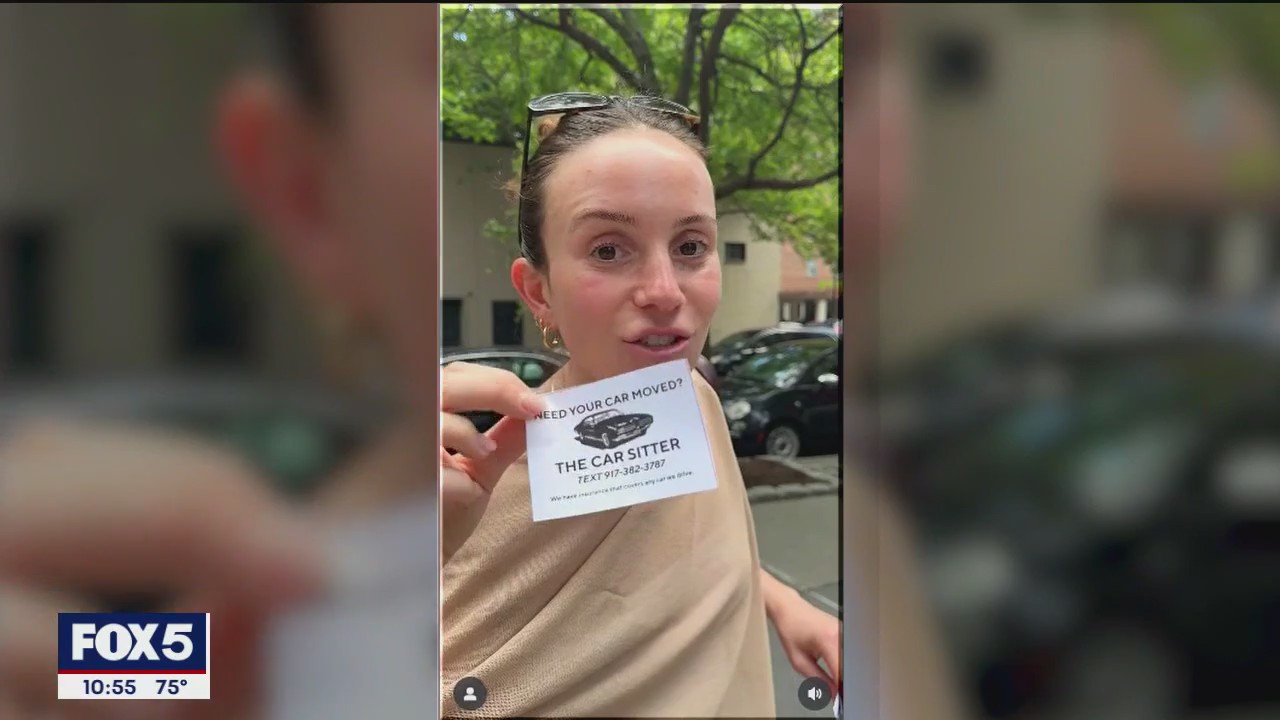 'Video thumbnail for Car sitting becomes lucrative business: Here's how it works'