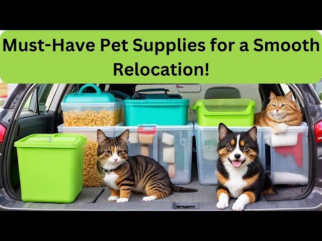 Video thumbnail for Must-Have Pet Supplies for a Smooth Relocation! 🐾🚚#PetRelocation #MovingWithPets #PetSupplies