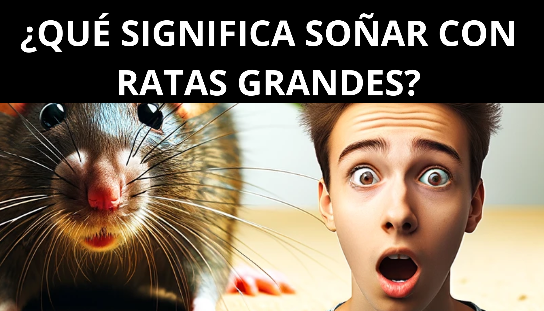 'Video thumbnail for ¿Qué significa soñar con ratas grandes?'