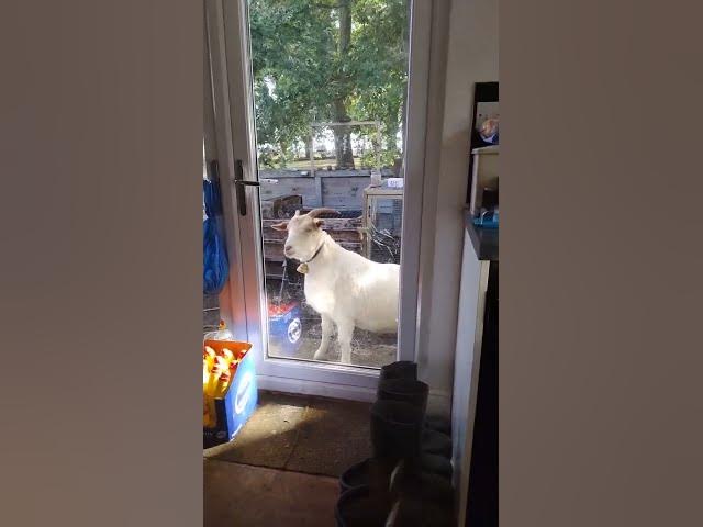 Video thumbnail for 5 January 2025