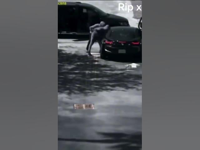 Video thumbnail for Rip x