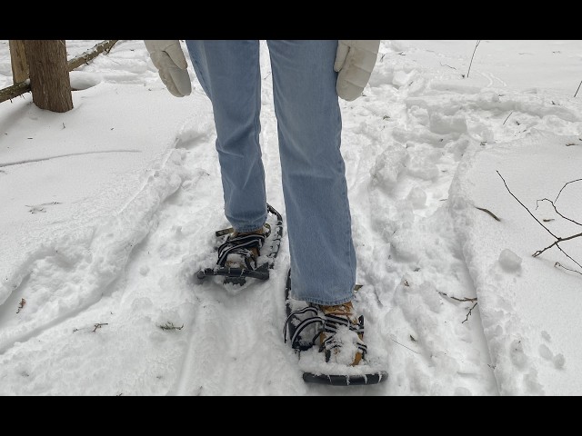 Video thumbnail for Reflexive Inquiry and Métissage video