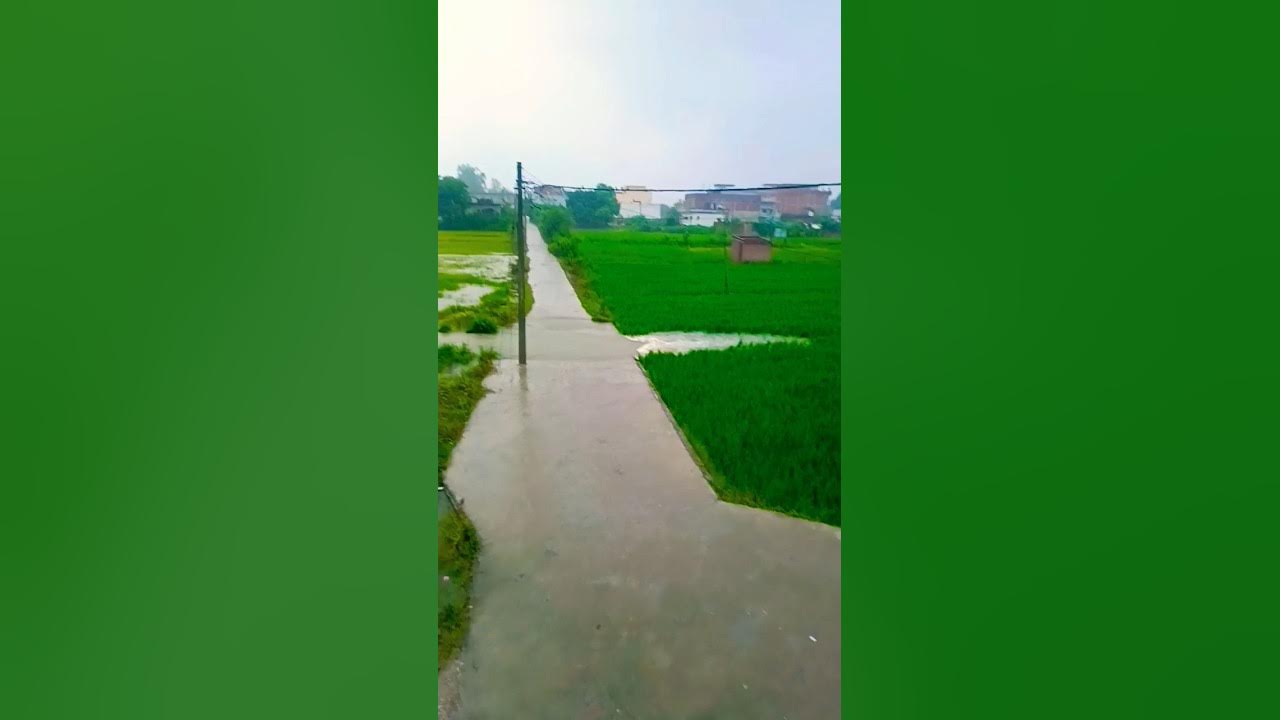 Video thumbnail for #barish #barishstatus #kanakclasses