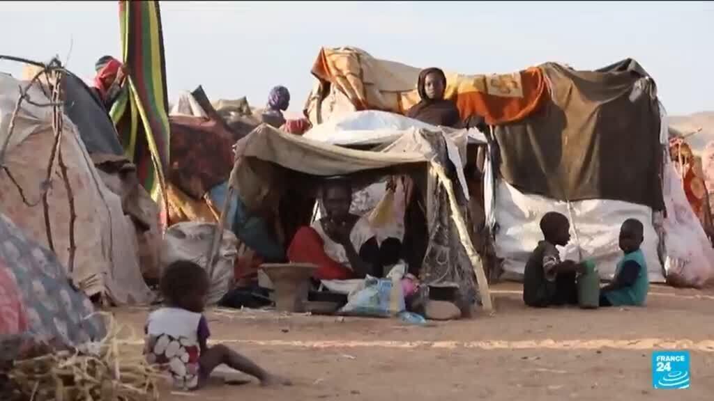 Video thumbnail for UN decries 'preventable human rights catastrophe' in Sudan's El-Fasher