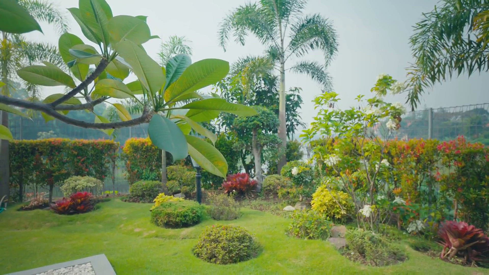 Video thumbnail for Best Shrubs for Year-Round Color