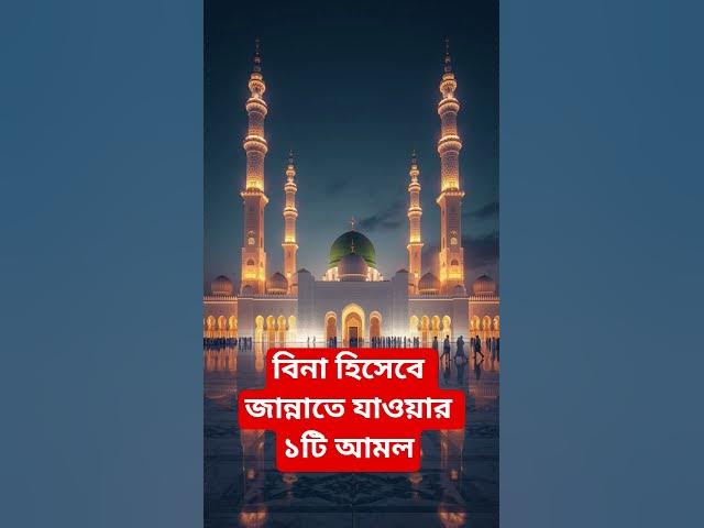 Video thumbnail for বিনা হিসেবে জান্নাতে যাওয়ার ১টি আমল#shorts #viral#sheikh_ahmadullah#islamicalortips